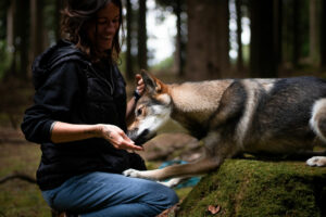 Education positive bisounours - Canitopia Educateur comportementaliste canin Belz Morbihan Bretagne