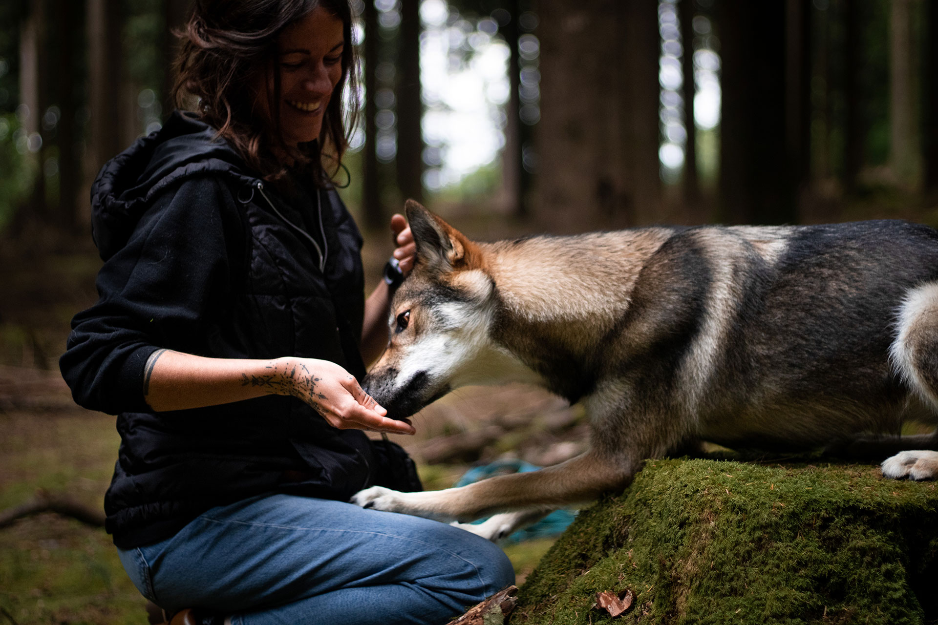 Education positive bisounours - Canitopia Educateur comportementaliste canin Belz Morbihan Bretagne