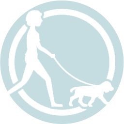 Dog Walking - Canitopia Educateur canin Belz Morbihan Bretagne