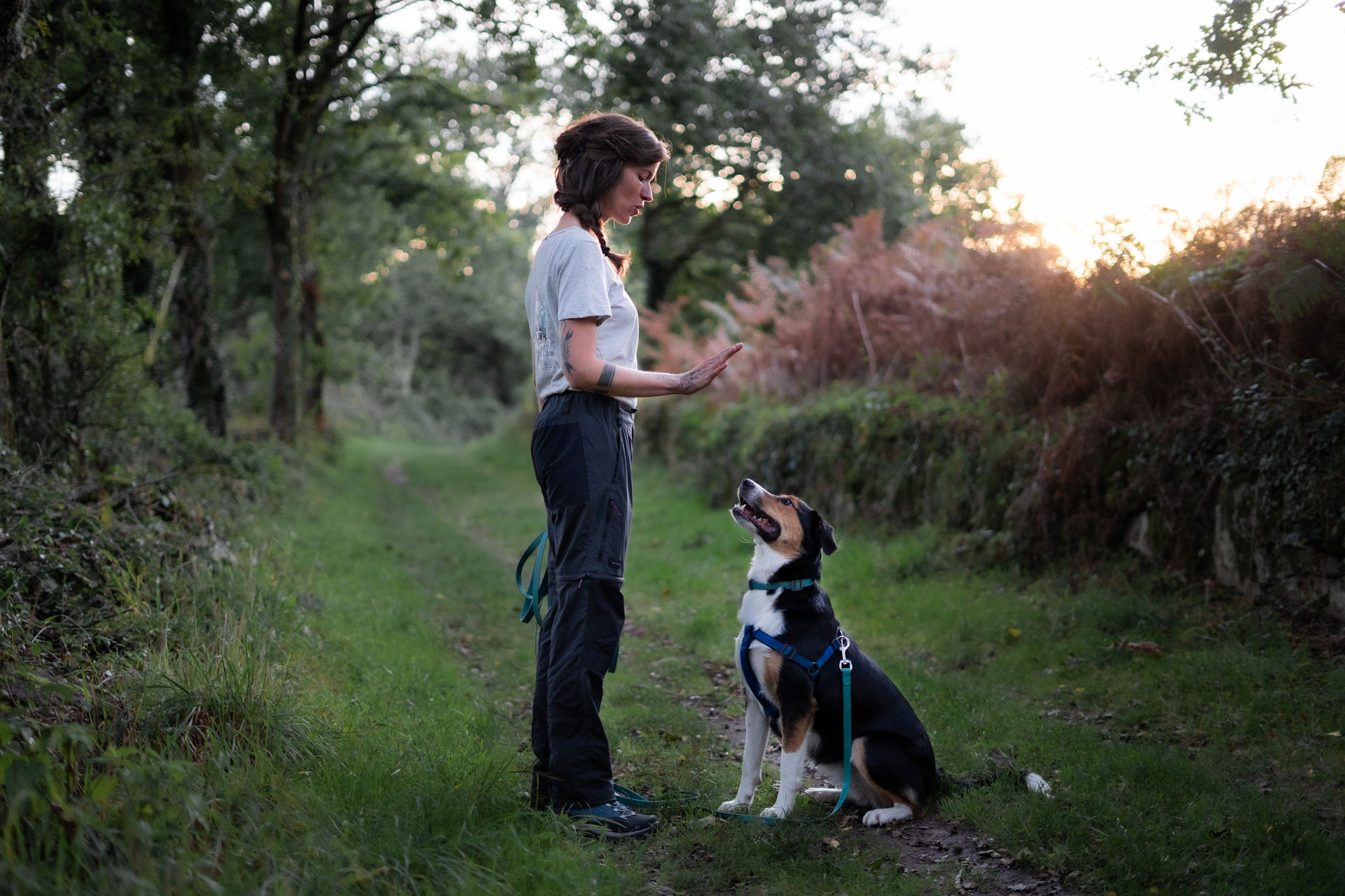 Cours éducation chien - Canitopia Educateur canin Belz Morbihan Bretagne