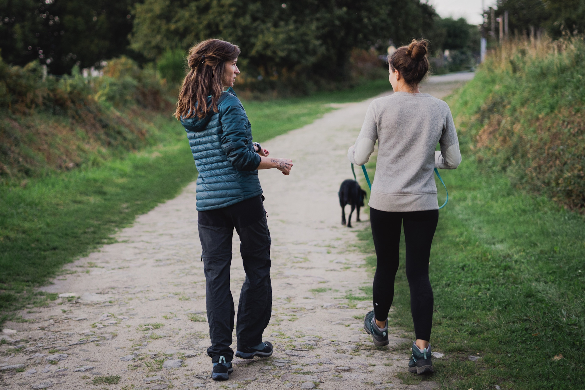 Cours éducation canin - Canitopia Educateur canin Belz Morbihan Bretagne