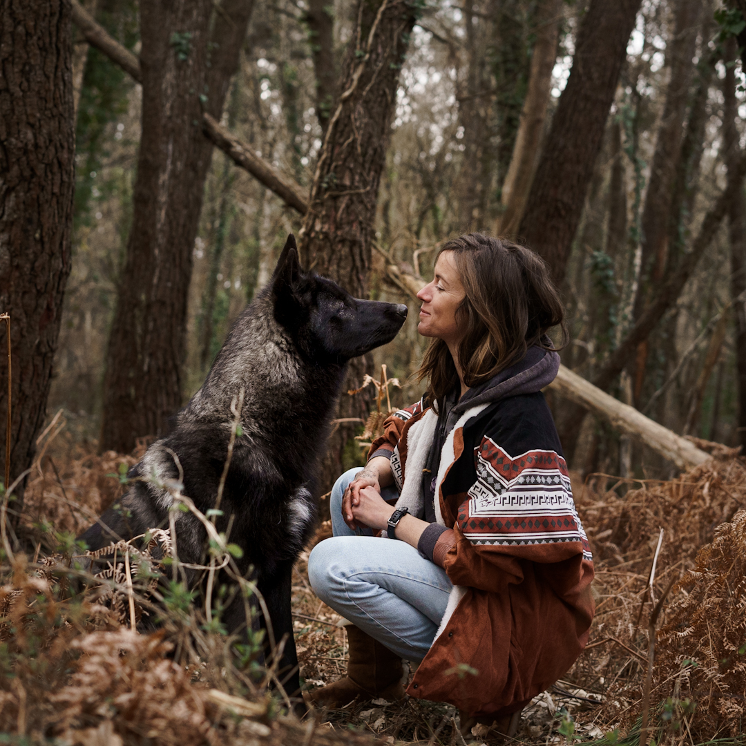 Éducation canine- chiot- Auray- Belz- Hennebont- Camors- Carnac - Morbihan