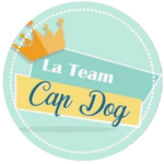 team cap dog