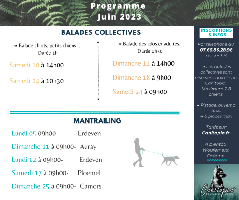 Balades Collectives chiens- mantrailing- Morbihan- educateur canin Auray- Canitopia