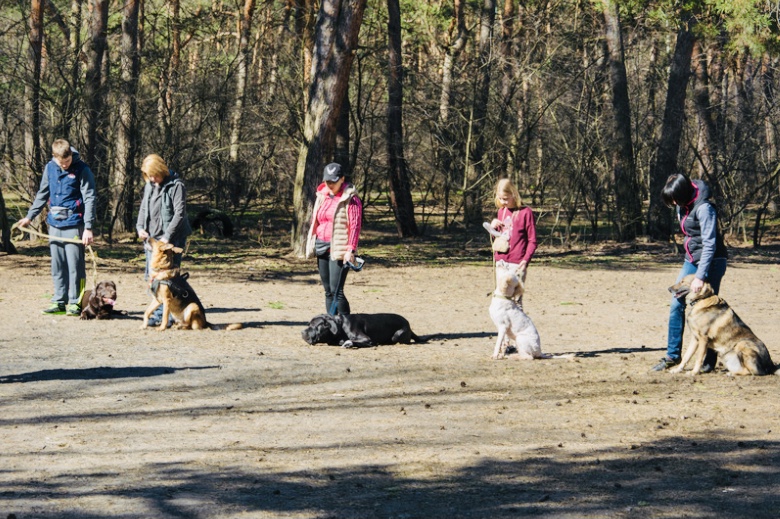 Cours collectif Morbihan (1)